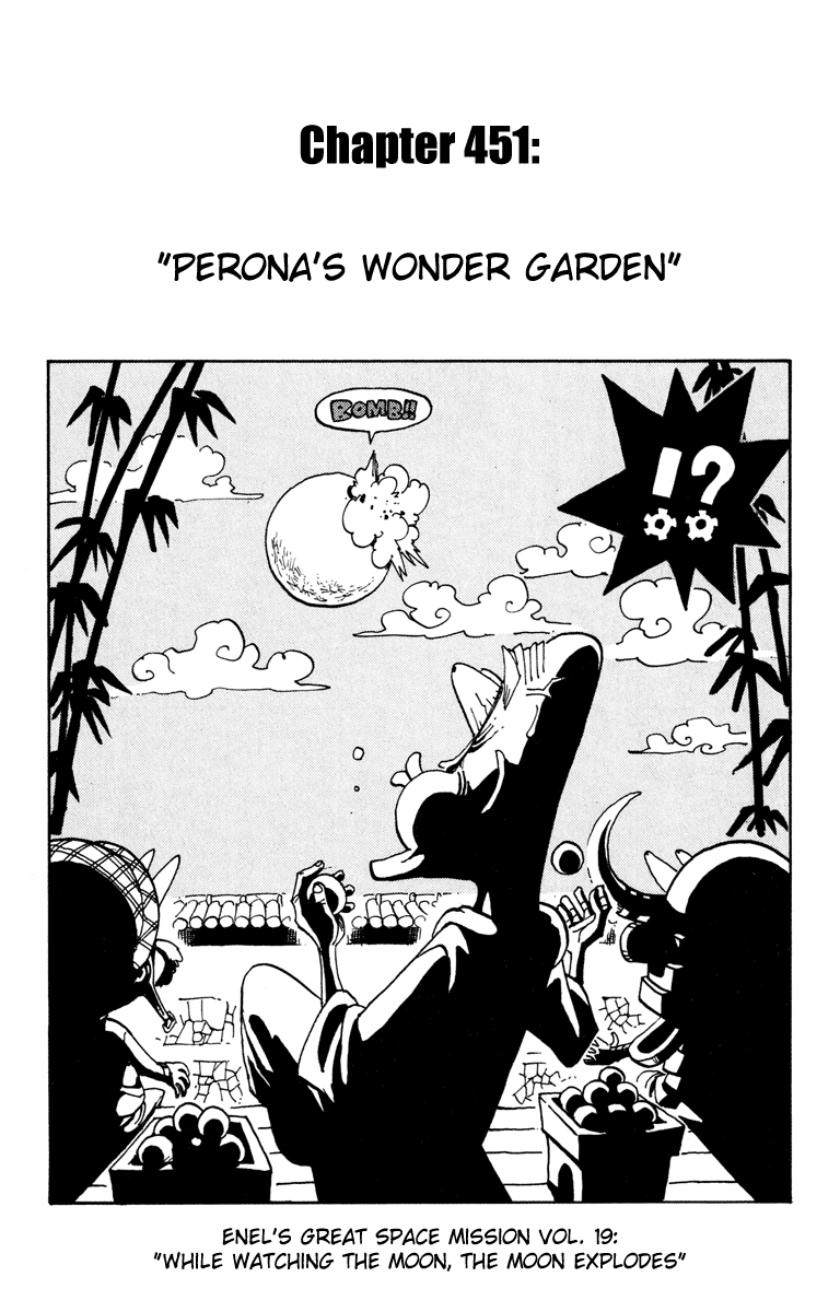 One Piece, Chapter 451 image 01